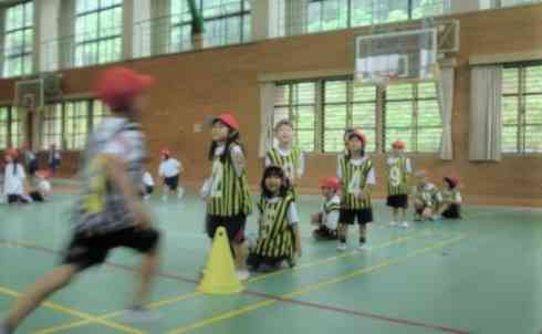 CIMG3090 (2)