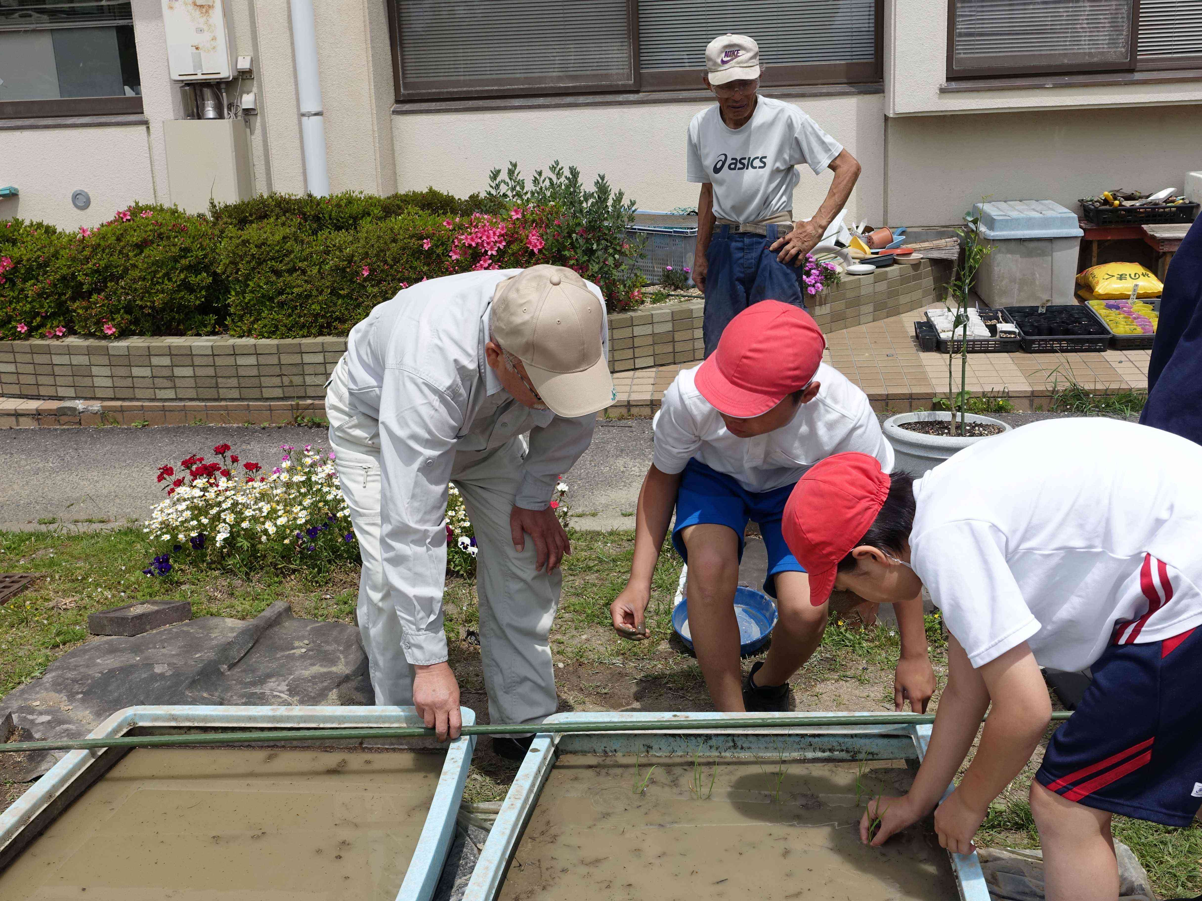 田植え２