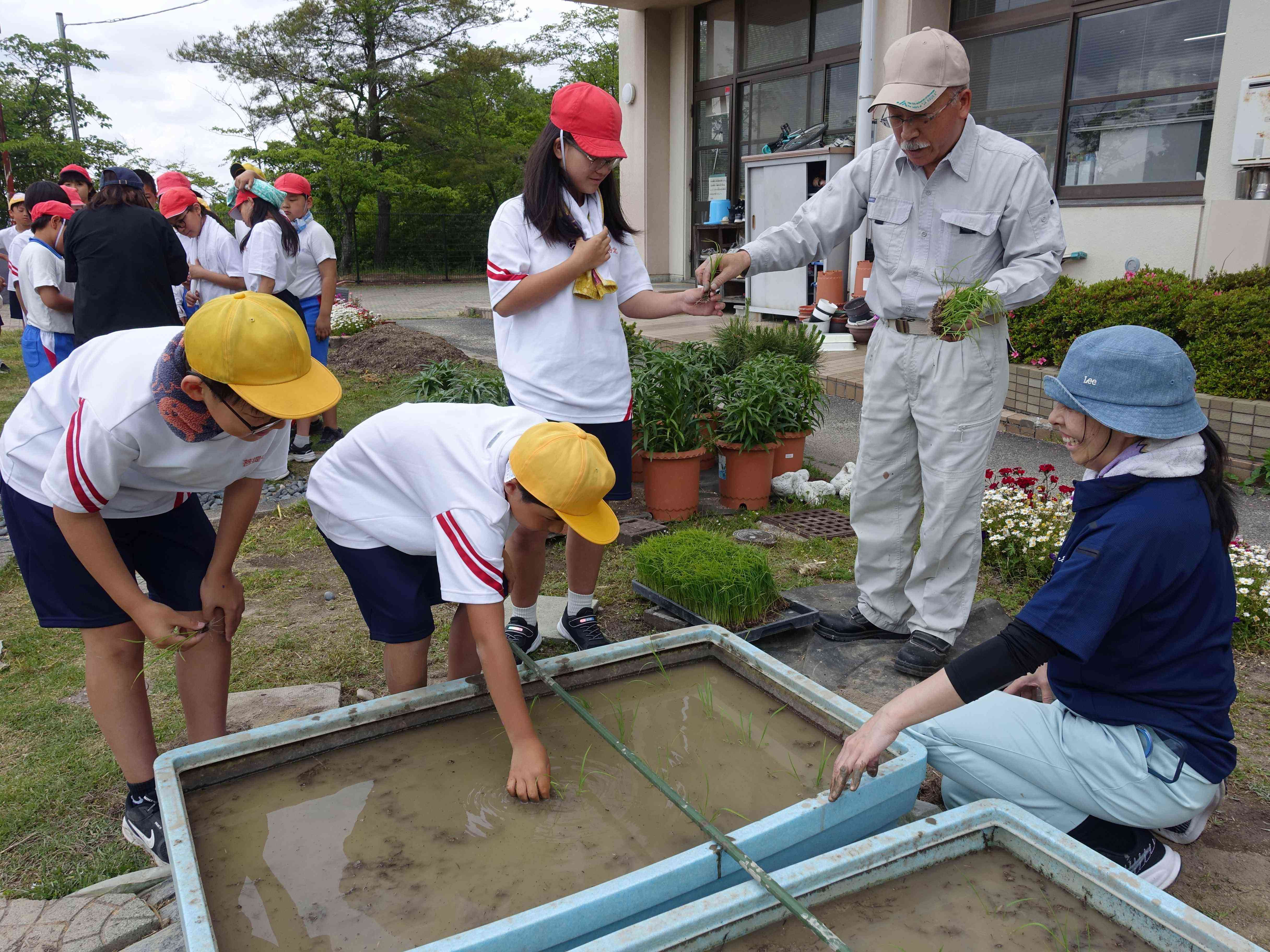 田植え１