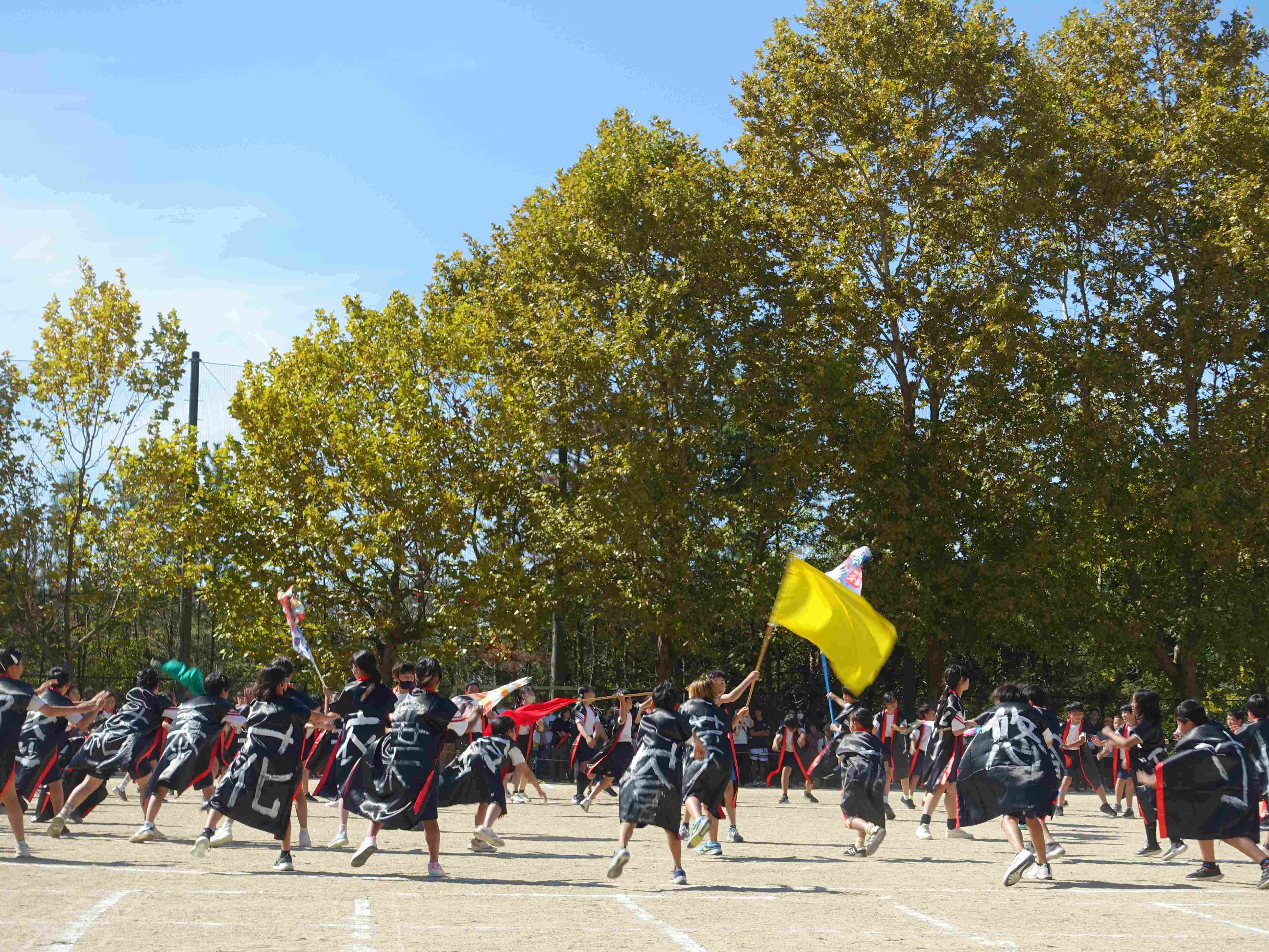 ソーラン２